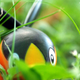 Illustration for article titled Pokémon (OH) Snap!: Hiding in the Tall Grass...(Part II)